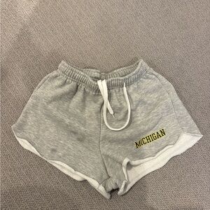 Gray dolphin shorts with Michigan logo